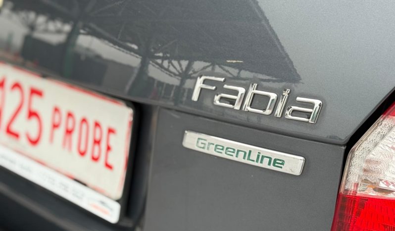 
								Skoda Fabia full									